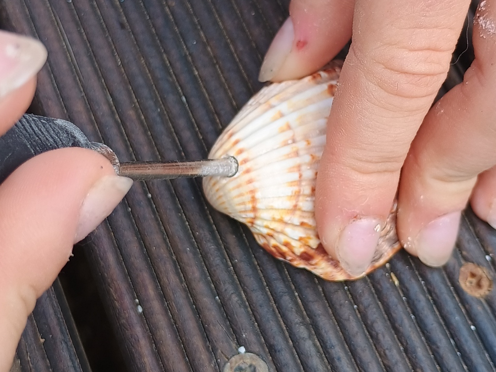 Handcrafted driftwood heart art with layered waves by Sun Kissed Crafts.